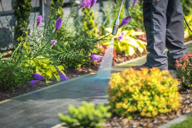 Best Gutter Cleaning  in Tarrytown, NY